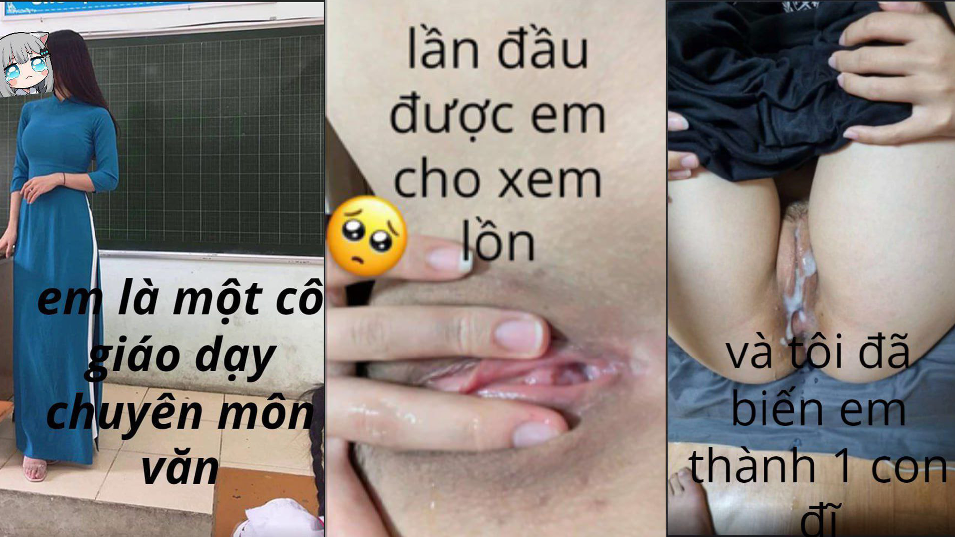 Em là một cô giáo dạt chuyên môn Văn